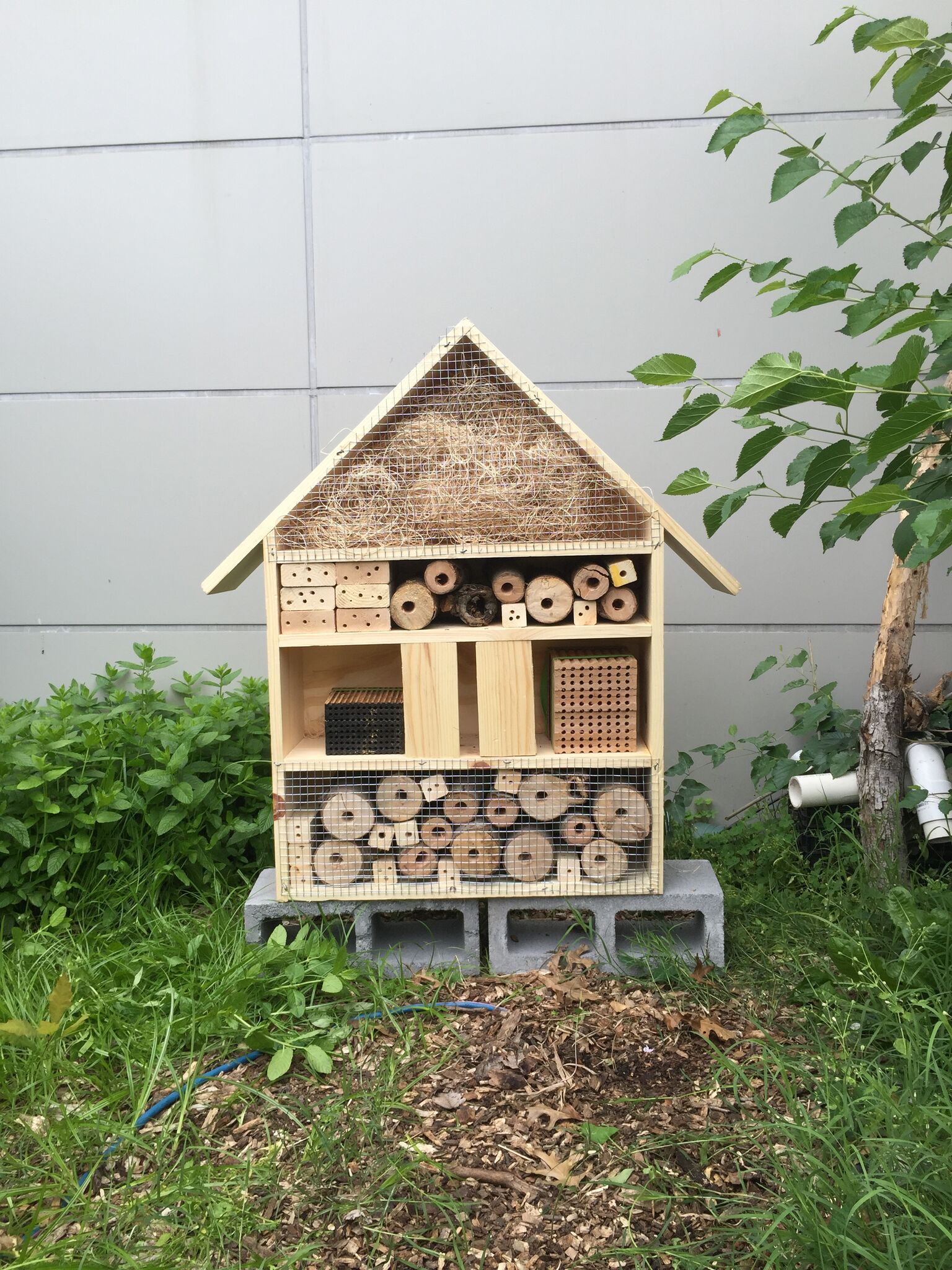 Build Your Own Native Bee House  Beyond Pesticides