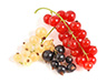 currants