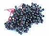 elderberries