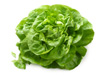 lettuce