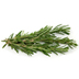 rosemary