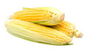 sweet corn