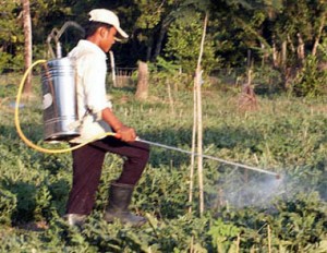 Manual_sprayer_farmworker