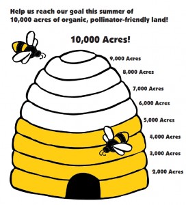 bee hive thermometer 3