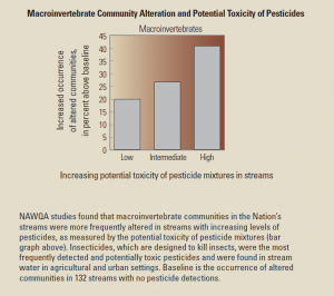 Microinvertebrates