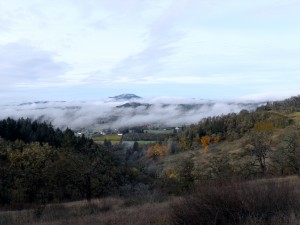 Willamette_Valley_fog