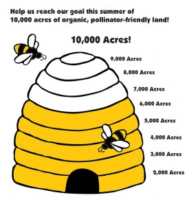 bee hive thermometer 3(1)