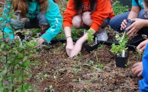 rappahannock school yard