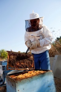 beekeeper