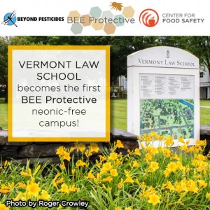 FBBEEProtectiveVLS