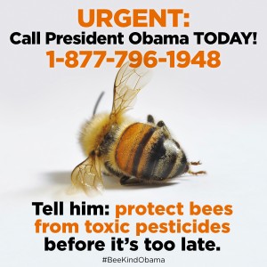 ObamaProtectBeesActionCall_1
