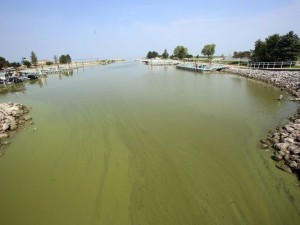 Maumee Bay State Park